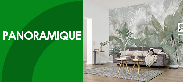 PANORAMIQUE