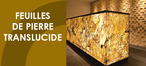 Feuilles de pierre translucide