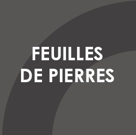 feuille_pierre.png