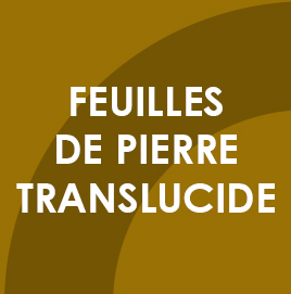Feuilles de pierre translucide