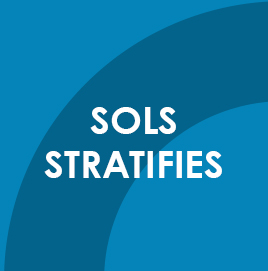 SOLS – stratifiés
